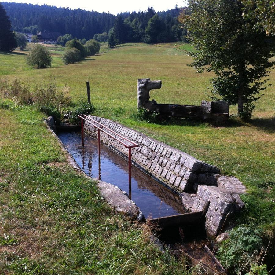 Ferienwohnung Waldblick 托特瑙 外观 照片